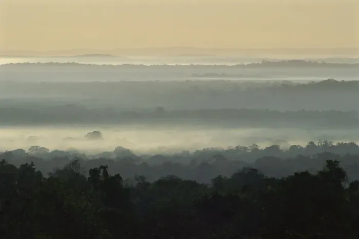 Framed Print : Dawn over rain forest of Biosphere Reserve, Peten, Guatemala, Central America Framed Print : Dawn over rain forest of Biosphere Reserve, Peten, Guatemala, Central America