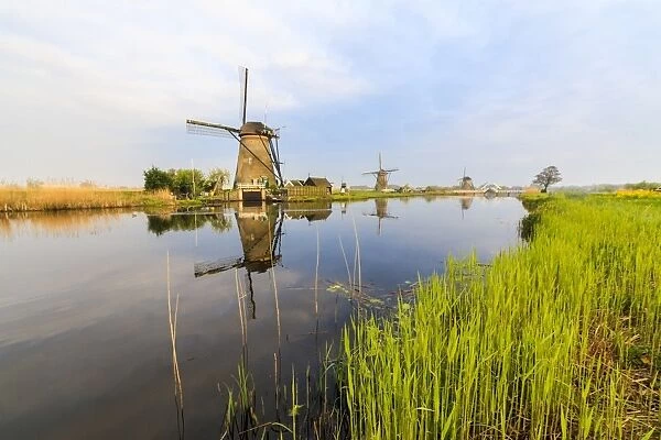 Dawn on windmills reflected in the canal surrounded by green meadows, Kinderdijk