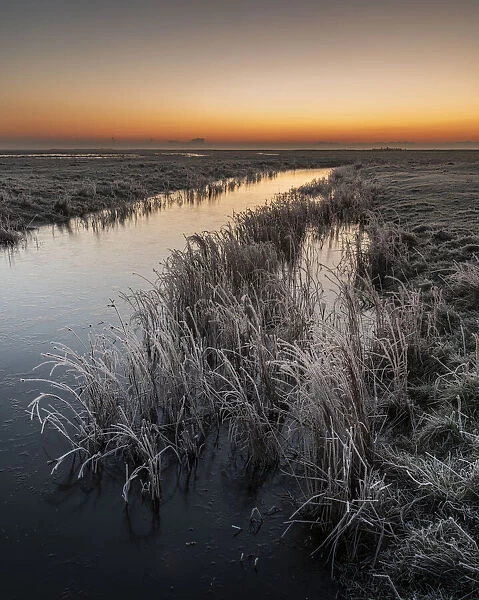 Dawn in winter, Elmley National Nature Reserve, Isle of Sheppey, Kent, England