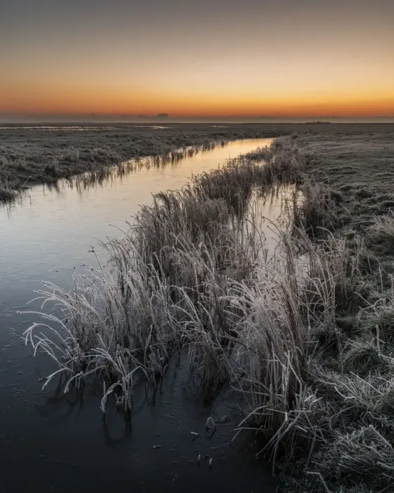 Framed Print : Dawn in winter, Elmley National Nature Reserve, Isle of Sheppey, Kent, England Framed Print : Dawn in winter, Elmley National Nature Reserve, Isle of Sheppey, Kent, England