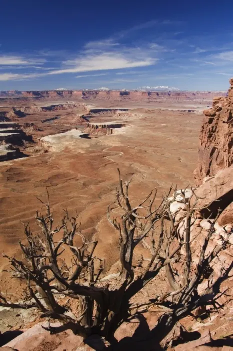 Framed Print : Dead Horse Point looking out at the Colorado River Framed Print : Dead Horse Point looking out at the Colorado River