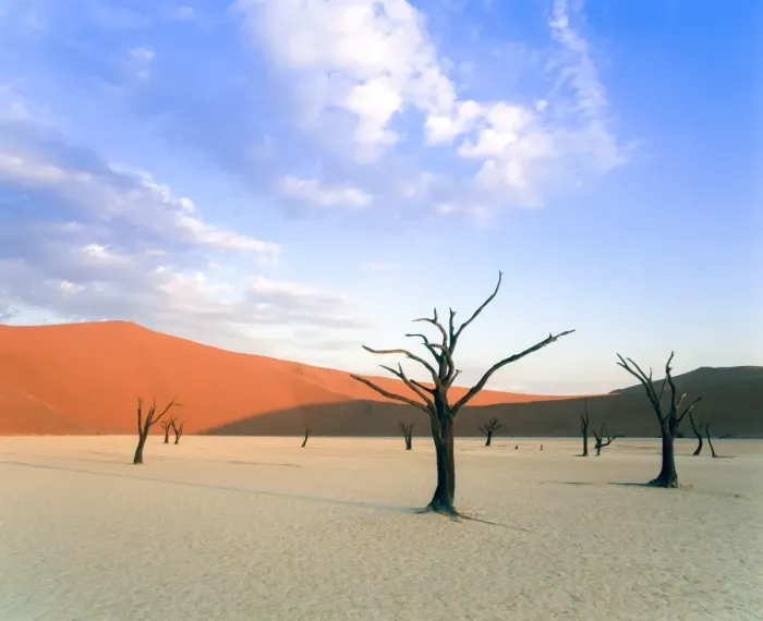 Framed Print : Dead trees and orange sand dunes, Dead Vlei, Sossusvlei dune field, Namib-Naukluft Park, Namib Desert, Namibia, Africa Framed Print : Dead trees and orange sand dunes, Dead Vlei, Sossusvlei dune field, Namib-Naukluft Park, Namib Desert, Namibia, Africa