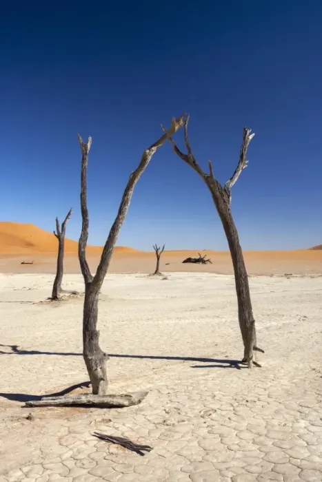 Framed Print : Dead Vlei, Namib Desert, Namibia, Africa Framed Print : Dead Vlei, Namib Desert, Namibia, Africa