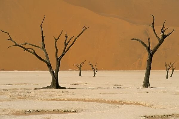 Dead Vlei, Sossusvlei dune field