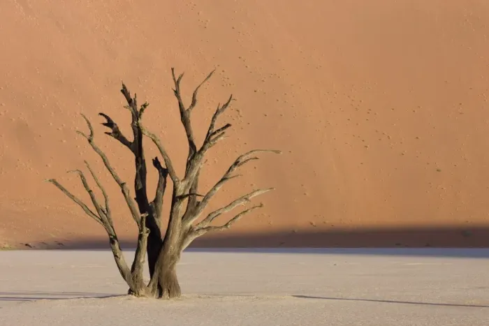 Framed Print : Dead Vlei, Sossusvlei, Namib Desert, Namibia, Africa Framed Print : Dead Vlei, Sossusvlei, Namib Desert, Namibia, Africa