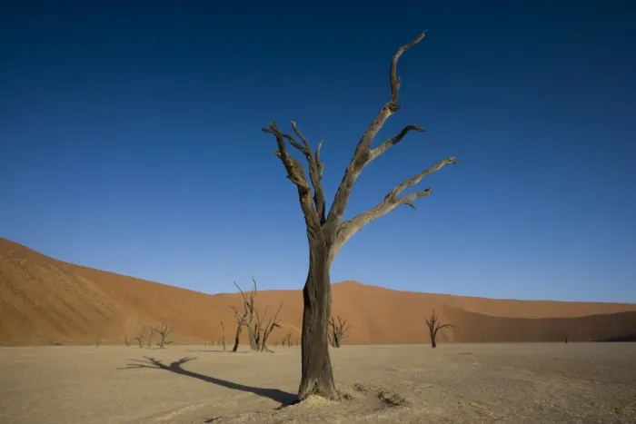 Framed Print : Dead Vlei, Sossusvlei, Namib Desert, Namibia, Africa Framed Print : Dead Vlei, Sossusvlei, Namib Desert, Namibia, Africa