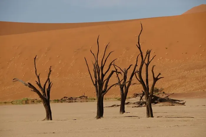 Framed Print : Dead Vlei, Sossusvlei, Namib Desert, Namibia, Africa Framed Print : Dead Vlei, Sossusvlei, Namib Desert, Namibia, Africa
