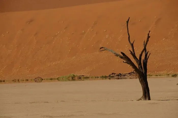 Framed Print : Dead Vlei, Sossusvlei, Namib Desert, Namibia, Africa Framed Print : Dead Vlei, Sossusvlei, Namib Desert, Namibia, Africa