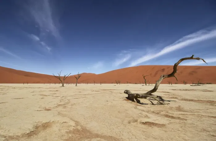 Framed Print : Deadvlei, near Sossusvlei, a dry lake with dead trees in the desert made of red sand Framed Print : Deadvlei, near Sossusvlei, a dry lake with dead trees in the desert made of red sand