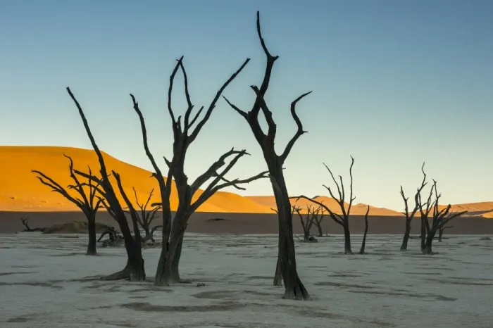 Framed Print : Deadvlei, an old dry lake in the Namib desert, Namibia, Africa Framed Print : Deadvlei, an old dry lake in the Namib desert, Namibia, Africa