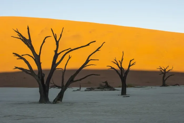 Framed Print : Deadvlei, an old dry lake in the Namib desert, Namibia, Africa Framed Print : Deadvlei, an old dry lake in the Namib desert, Namibia, Africa