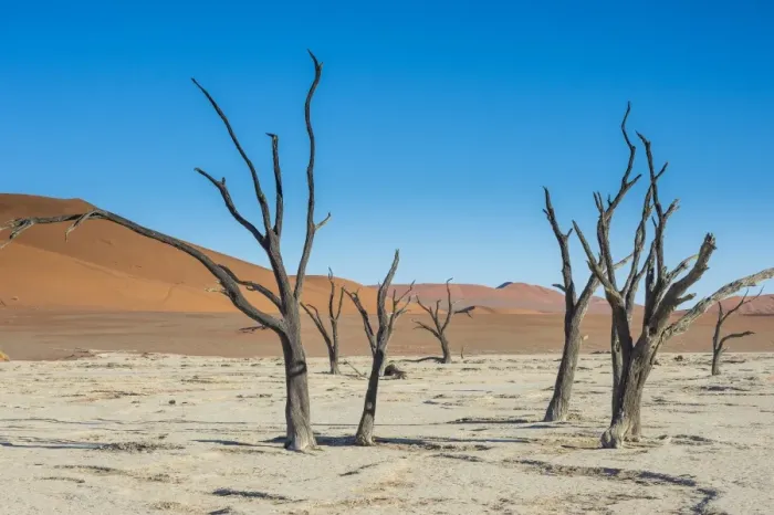 Framed Print : Deadvlei, an old dry lake in the Namib desert, Namibia, Africa Framed Print : Deadvlei, an old dry lake in the Namib desert, Namibia, Africa