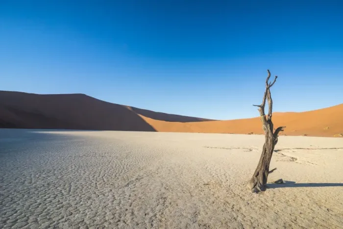 Framed Print : Deadvlei, an old dry lake in the Namib desert, Namibia, Africa Framed Print : Deadvlei, an old dry lake in the Namib desert, Namibia, Africa