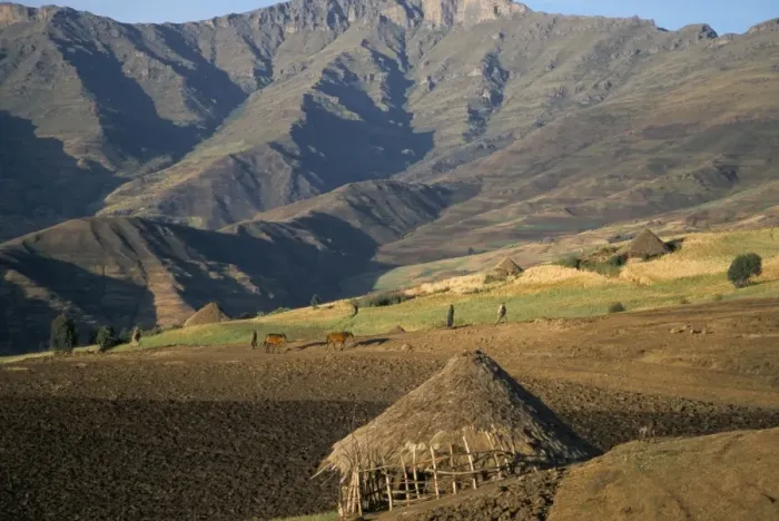 Framed Print : Debirichwa village in early morning, Simien Mountains National Park, UNESCO World Heritage Site Framed Print : Debirichwa village in early morning, Simien Mountains National Park, UNESCO World Heritage Site