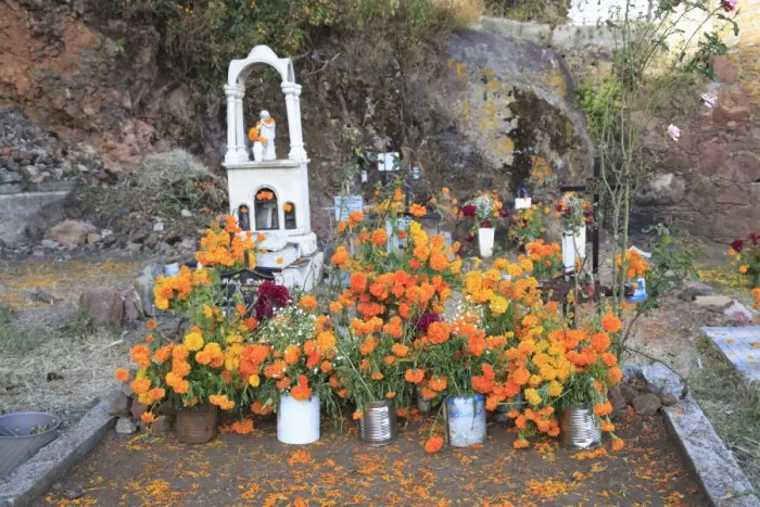 Framed Print : Decorated graves, Cemetery, Janitzio Island, Day of the Dead, Lake Patzcuaro Framed Print : Decorated graves, Cemetery, Janitzio Island, Day of the Dead, Lake Patzcuaro