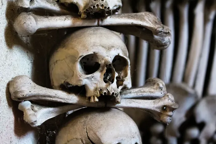 Framed Print : Decoration made of human skulls and bones, interior of Sedlec Ossuary, UNESCO World Heritage Site, Kutna Hora, Czech Republic (Czechia), Europe Framed Print : Decoration made of human skulls and bones, interior of Sedlec Ossuary, UNESCO World Heritage Site, Kutna Hora, Czech Republic (Czechia), Europe