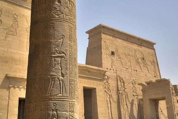 Decorative relief on column, from outside the Birth House, Temple of Isis, Island of Philae