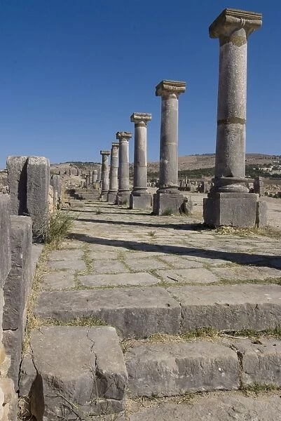 Decumanus Maximus (main east west road), Roman site of Volubilis, UNESCO World Heritage Site