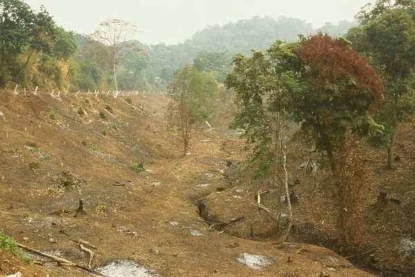 Deforestation for farmland, cleared by slash and burn, Mogok Hills, Mandalay District