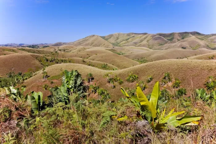 Framed Print : Deforested hills near Manakara, Madagascar, Africa Framed Print : Deforested hills near Manakara, Madagascar, Africa