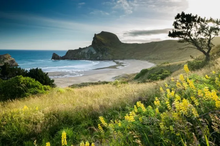 Framed Print : Deliverance Cove at sunset, North Wairarapa, Wairarapa, North Island, New Zealand