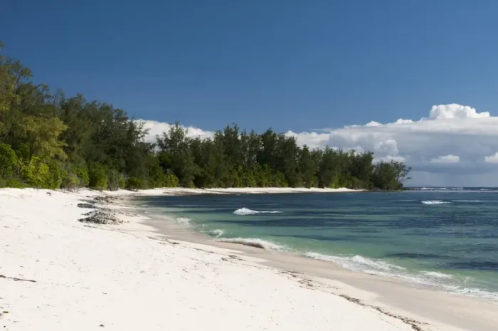 Framed Print : Denis Island, Seychelles, Indian Ocean, Africa