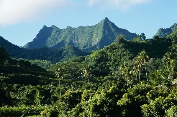 Dense forests and mountain ppeaks, Rarotonga, Cook Islands, Polynesia, South Pacific islands