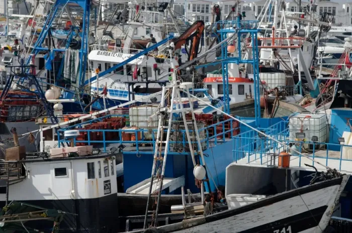 Framed Print : Densely crowded fishing boats moored in Tangier fishing harbour, Tangier, Morocco, North Africa, Africa Framed Print : Densely crowded fishing boats moored in Tangier fishing harbour, Tangier, Morocco, North Africa, Africa