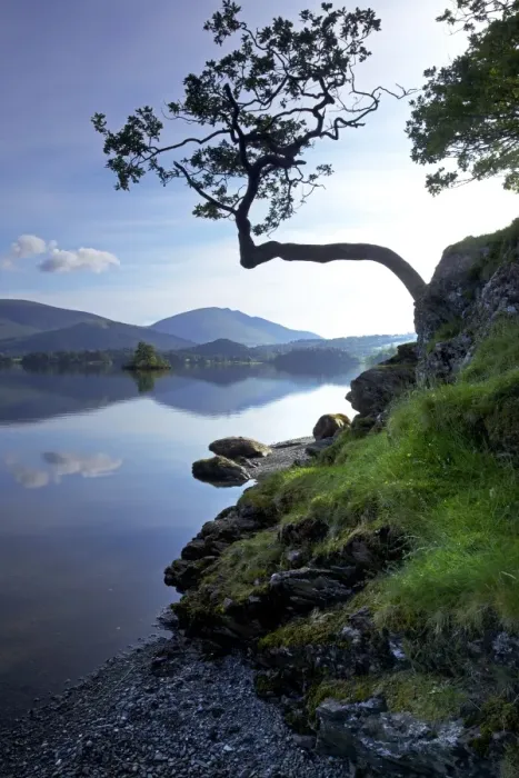 Framed Print : Derwent Water, Lake District National Park, Cumbria, England, United Kingdom, Europe Framed Print : Derwent Water, Lake District National Park, Cumbria, England, United Kingdom, Europe