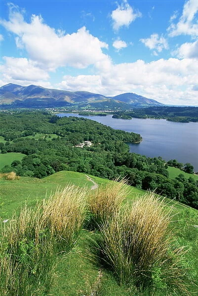 Derwent Water and Lonscale Fell from Cat Bells, Lake District National Park
