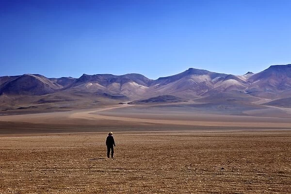 Desert in the Avaroa Andean Fauna National Reserve, Bolivia, South America