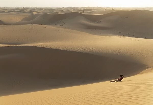 The desert near Liwa, Abu Dhabi, United Arab Emirates, Middle East