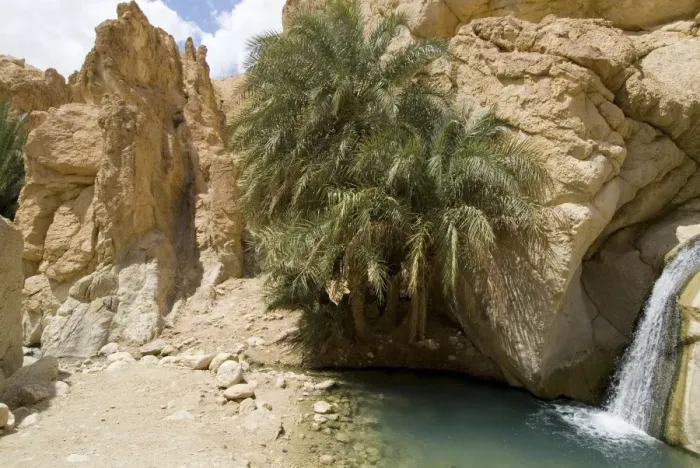 Framed Print : Desert oasis Framed Print : Desert oasis