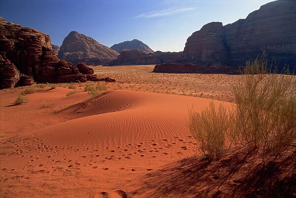 The desert at Wadi Rum