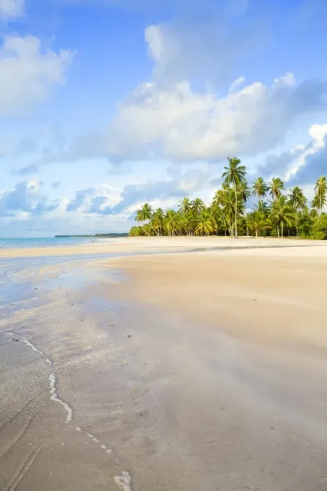 Framed Print : Deserted tropical beach, Bahia, Brazil, South America Framed Print : Deserted tropical beach, Bahia, Brazil, South America