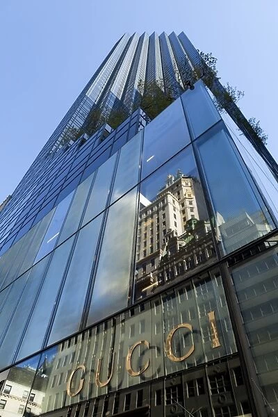 Designer shops on Fifth Avenue, Manhattan, New York City, New York, United States of America