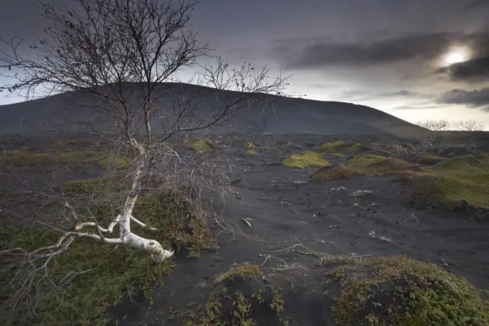 Framed Print : Desolate black ash landscape at the foot of Hverfjall (Hverfell) volcano Framed Print : Desolate black ash landscape at the foot of Hverfjall (Hverfell) volcano