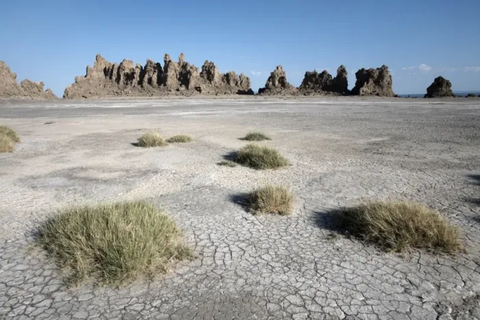 Framed Print : The desolate landscape of Lac Abbe, dotted with limestone chimneys, Djibouti, Africa Framed Print : The desolate landscape of Lac Abbe, dotted with limestone chimneys, Djibouti, Africa