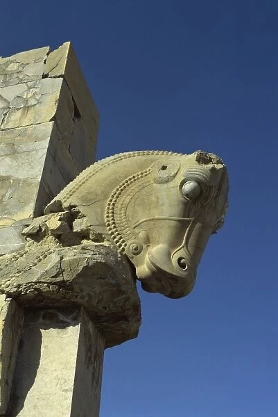 Detail, carving of horse on gateway to Hall of One Hundred columns, Persepolis