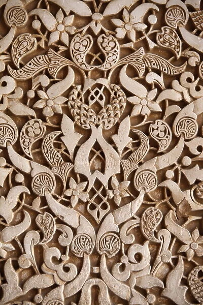 Detail, Palacio de los Leones sculpture, Nasrid Palaces, Alhambra