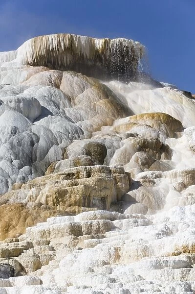 Devil's Thumb, Mammoth Hot Springs, Yellowstone National Park, UNESCO World Heritage Site, Wyoming, United States of America, North America