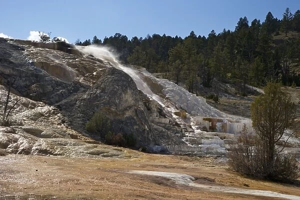 Devils Thumb and Palette Spring, Mammoth Hot Springs, Yellowstone National Park, UNESCO World Heritage Site, Wyoming, United States of America, North America