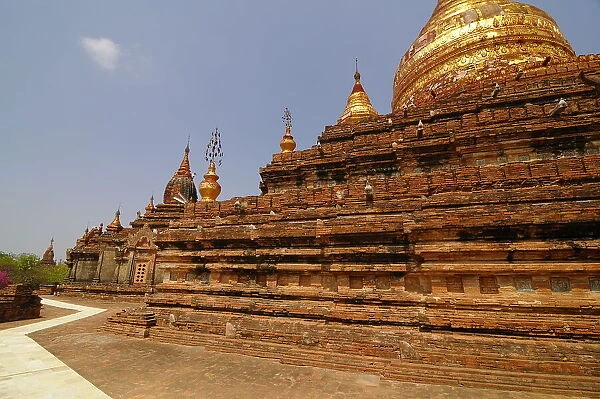 Dhammayazaka Pagoda, Bagan (Pagan), UNESCO World Heritage Site, Myanmar, Asia