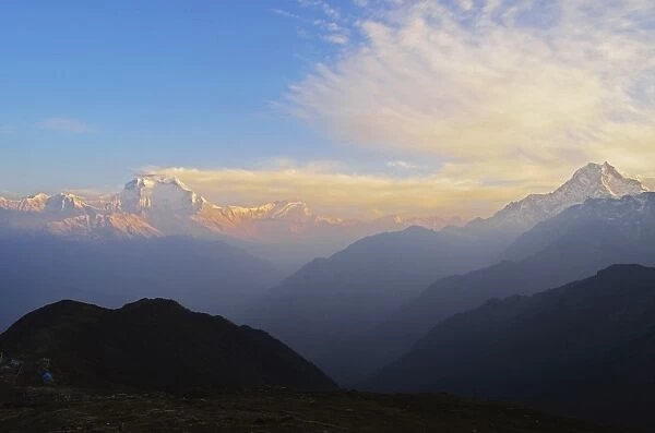 Dhaulagiri Himal seen from Khopra, Annapurna Conservation Area, Dhawalagiri (Dhaulagiri), Western Region (Pashchimanchal), Nepal, Himalayas, Asia