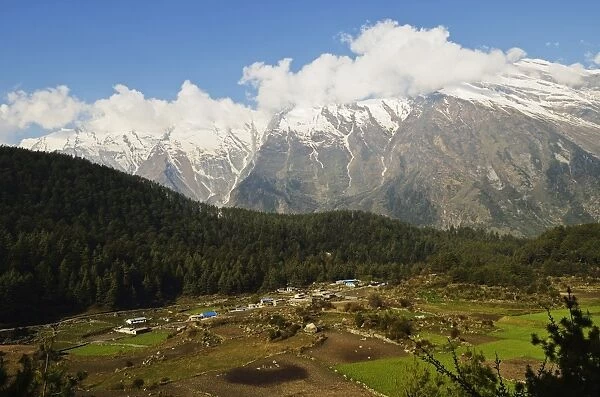 Dhaulagiri Himal seen from Titi, Annapurna Conservation Area, Dhawalagiri (Dhaulagiri), Western Region (Pashchimanchal), Nepal, Himalayas, Asia