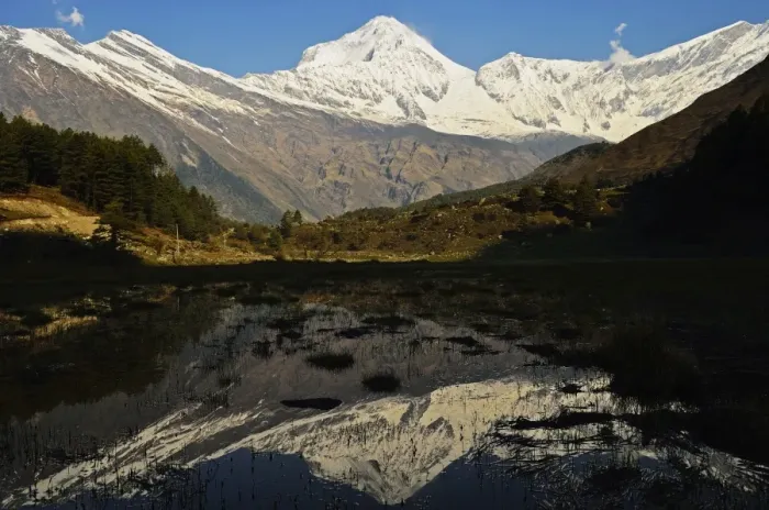 Framed Print : Dhaulagiri Himal seen from Titi, Annapurna Conservation Area, Dhawalagiri (Dhaulagiri), Western Region (Pashchimanchal), Nepal, Himalayas, Asia Framed Print : Dhaulagiri Himal seen from Titi, Annapurna Conservation Area, Dhawalagiri (Dhaulagiri), Western Region (Pashchimanchal), Nepal, Himalayas, Asia