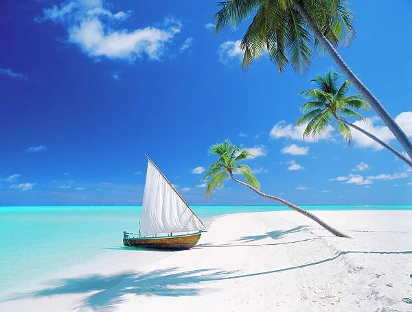 Dhoni (traditional boat) moored by empty beach, Maldives, Indian Ocean, Asia
