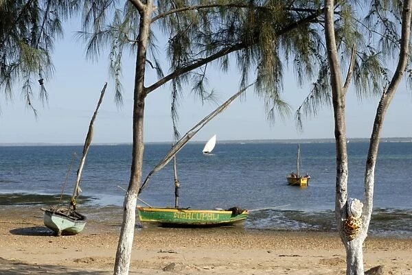 Dhows and beach, opposite Mozambique Island, Mozambique, Africa