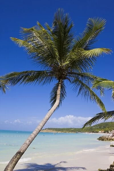 Dickenson Bay Beach, the largest and most famous beach on the island, Antigua