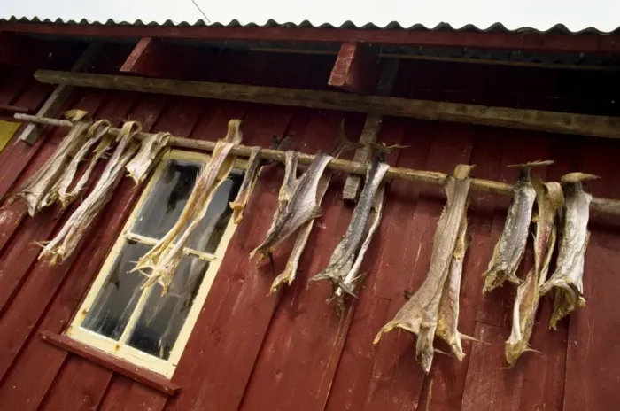 Framed Print : Died cod hanging outside house Framed Print : Died cod hanging outside house